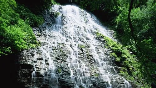高性能精密电子